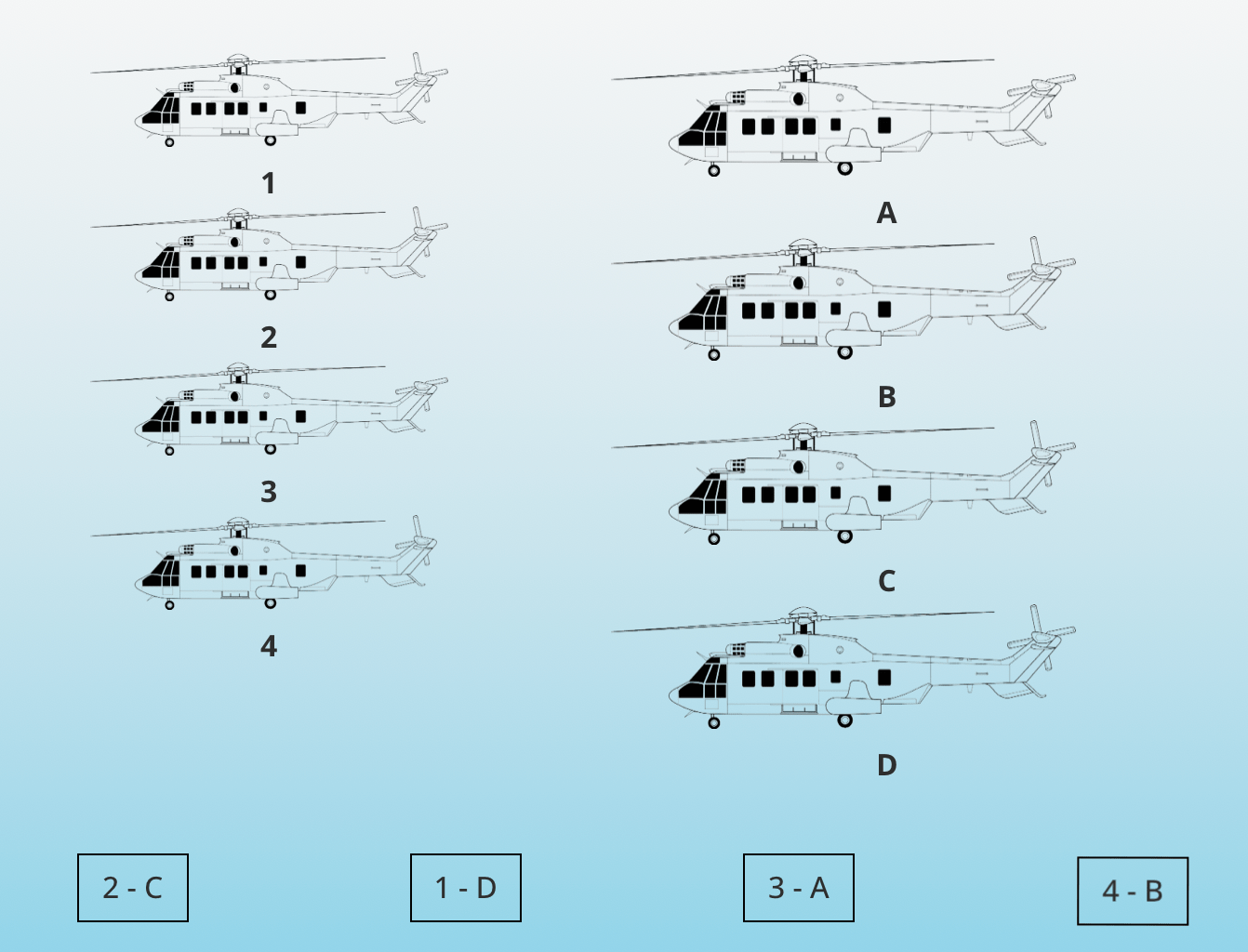 Préparation aux sélections - ALAT – Image 4